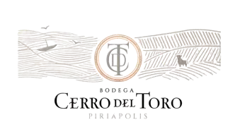 Bodega Castillo Viejo